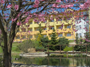 Wellness & Spa Relax Frymburk
